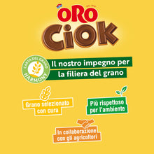 Carica l'immagine nel visualizzatore di Gallery, Oro Ciok Mini Cookies, Mini Biscotto Cookies Ripieno di Gocce di Cioccolato al Latte, Merenda Semplice e Golosa, Fonte N