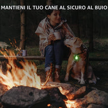 Carica l'immagine nel visualizzatore di Gallery, 2 luci LED impermeabili per cani con USB ricaricabile per passeggiare di notte, attaccate al collare, al guinzaglio o al