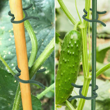 Carica l'immagine nel visualizzatore di Gallery, 200 Pezzi Clip di Supporto per Piante, Clip per Piante Rampicanti, Clip per Piante da Giardino, Morsetti per Piante Ramp