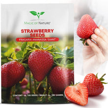 Carica l'immagine nel visualizzatore di Gallery, Magic of Nature: Semi di Fragola Gigante circa 100 pz
