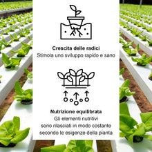 Carica l'immagine nel visualizzatore di Gallery, Kalapanta IDROPON P-MAX Concime per Idrocoltura e Idroponica Granulare