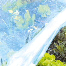 Carica l'immagine nel visualizzatore di Gallery, TENAX Coat Film, 2,00x10 m Trasparente, Film Protettivo Impermeabile in Plastica per Copertura Tunnel e Serrette, Protez