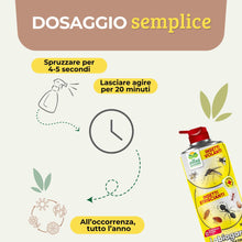 Carica l'immagine nel visualizzatore di Gallery, Albagarden - Insetticida Formiche E Scarafaggi Per Ambienti - Insetticida Multinsetto Contro Zanzare Mosche Vespe E Tutt