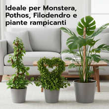 Carica l'immagine nel visualizzatore di Gallery, Wigearss 2 Pezzi Bastone di Muschio, Palo Cocco Piante Sostegno Piante Supporti, Pieghevoli Fibra di Cocco, Tutore Musch