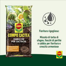 Carica l'immagine nel visualizzatore di Gallery, COMPO CACTEA Terriccio per Cactacee, Per una Crescita Omogenea delle Piante, Sacco 2,5 L