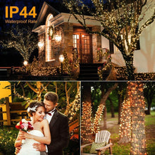 Carica l&#39;immagine nel visualizzatore di Gallery, Avoalre Luci di Natale 1000 LEDs 25M, Catena Luminosa 8 Modalità Impermeabile IP44 Luci Albero di Natale Decorative per Interno Esterno Natale Atmosfera Romantica Camera Festa Nozze, Bianco Caldo
