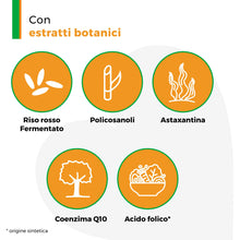 Carica l'immagine nel visualizzatore di Gallery, Armolipid 30 Compresse, Integratore Alimentare con Riso Rosso Fermentato, Acido Folico, Policosanoli, Coenzima Q10 e Ast