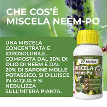 Carica l'immagine nel visualizzatore di Gallery, Miscela Neem-Po per Piante Biologico | Olio di Neem + Sapone molle di potassio Solubile Ottimo Contro le Avversità Ester