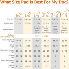 Carica l'immagine nel visualizzatore di Gallery, Amazon Basics Tappetini per l'addestramento di Cani e Cuccioli, Design a 5 Strati a Prova di perdite con Superficie ad Asciugatura Rapida, Dimensione Standard, Confezione da 100, Blu/Bianco