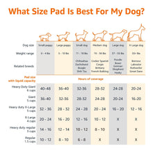 Carica l'immagine nel visualizzatore di Gallery, Amazon Basics Tappetini per l'addestramento di Cani e Cuccioli, Design a 5 Strati a Prova di perdite con Superficie ad A