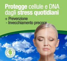 Carica l'immagine nel visualizzatore di Gallery, EGCG da tè verde ≥95% - Stimolante metabolico, blocca-fame, energizzante