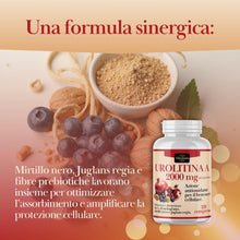 Carica l'immagine nel visualizzatore di Gallery, ElitesSentia Urolitina A Integratore: 120 Compresse Per Due Mesi Di Scorta -2000 mg Con Estratto Di Melograno, Juglans R