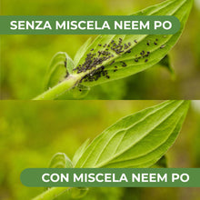 Carica l'immagine nel visualizzatore di Gallery, Miscela Neem-Po per Piante Biologico | Olio di Neem + Sapone molle di potassio Solubile Ottimo Contro le Avversità Ester