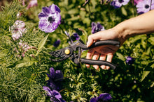 Carica l'immagine nel visualizzatore di Gallery, Fiskars Forbici da Giardino Bypass Professionali, Lama Teflonata, 1001530