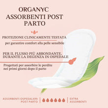 Carica l'immagine nel visualizzatore di Gallery, Organyc Assorbenti Post Parto per Ospedale – Primi Giorni Dopo il Parto, Ripiegati – 12 Pezzi – in 100% Cotone Biologico