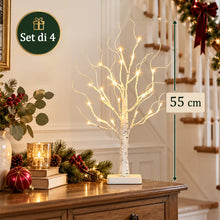 Carica l'immagine nel visualizzatore di Gallery, Set di 4 alberi di luci con 24 LED bianco caldo, betulla con funzione timer, funzionamento a batteria, decorazione natal