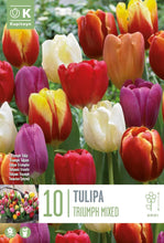 Carica l'immagine nel visualizzatore di Gallery, Bulbi di Tulipani | Collezione Varietà Esclusive da Autunno a Primavera | Alta Qualità e Controllo Selezionato | Fioritu