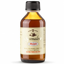 Carica l'immagine nel visualizzatore di Gallery, Aroma Alimentare per Panettone e Dolci Lievitati 100 ml – Fraccaro 1932