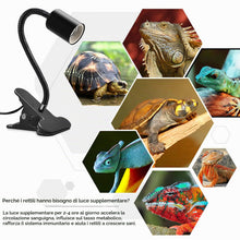 Carica l'immagine nel visualizzatore di Gallery, Portalampada E27 con Pinza, Portalampada con Clip in Metallo Luce da Lettura a Collo D'oca in Ruotabile a 360° Lampada d