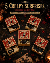Carica l'immagine nel visualizzatore di Gallery, 5 Scatole Fiammiferi Halloween con Ragni Finti, Box Prank Robuste e Chiudibili, Decorazioni Spaventose e Regali Sorpresa