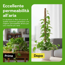 Carica l'immagine nel visualizzatore di Gallery, Wigearss 2 Pezzi Bastone di Muschio, Palo Cocco Piante Sostegno Piante Supporti, Pieghevoli Fibra di Cocco, Tutore Musch