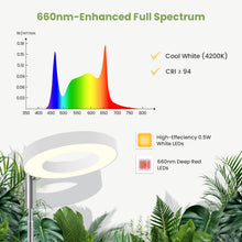 Carica l'immagine nel visualizzatore di Gallery, Luce crescita 12V Grow Light per piante da interno, spettro completo 660nm, lampada piante con timer 8/12/16H, smart plu