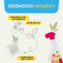 Carica l'immagine nel visualizzatore di Gallery, Albagarden Piretro Insetticida Piante Naturale - Elimina Afidi, Mosca Bianca, Moscerini E Lepidotteri - Rapida Azione Ab