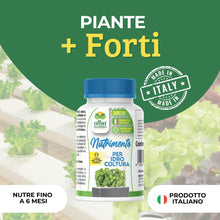 Carica l'immagine nel visualizzatore di Gallery, Albagarden - Nutrimento Per Coltivazione Idroponica E Idrocoltura - Formula Potenziata, Concime Ideale Per Serra Indoor,