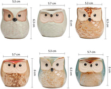 Carica l'immagine nel visualizzatore di Gallery, Vasi in Ceramica 6pz, in Ceramica con Gufo, Vaso per Fiori in Ceramica, per piante Cactus Vaso per fiori Vaso per fiori 