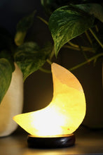 Carica l'immagine nel visualizzatore di Gallery, Moses Omm for You - Lampada di Cristallo di Sale Luna con USB, LED e Base in Palissandro
