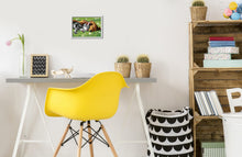 Carica l&#39;immagine nel visualizzatore di Gallery, Ravensburger - CreArt Serie E, Cane e Gatto Dolce Sonno, Dipingere con i Numeri, Kit Pittura Bambini, Tema Animali, Cornice Inclusa, Gioco Educativo, Idea Regalo Bambini 7+ Anni, 22x16cm