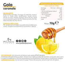 Carica l'immagine nel visualizzatore di Gallery, Sanavita Gola Limone Miele Caramelle con Propoli, Malva, Altea e Rosa Canina - 24 caramelle per confezione