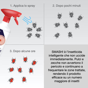 Spray anti zecche e spray antipulci per ambienti | AMP 2 CL Antipulci e zecche 500 ml | Anti zecche e pulci interno ed esterno (1x 500 ml)
