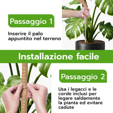Carica l'immagine nel visualizzatore di Gallery, Wigearss 2 Pezzi Bastone di Muschio, Palo Cocco Piante Sostegno Piante Supporti, Pieghevoli Fibra di Cocco, Tutore Musch