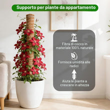 Carica l'immagine nel visualizzatore di Gallery, HOVIN Monstera - Traliccio di cocco – Confezione da 4 bastoncini di muschio estensibili 40 cm – per piante rampicanti da