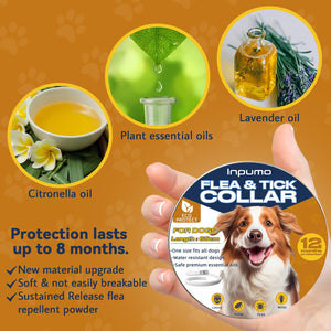 Collare Antiparassitario per Cani, 12 Mesi Protezione Regolabile Collare Antipulci Cane, Collare Antipulci per Cani con Oli Essenziali 100% Naturali Regolabile per Tutte le Taglie