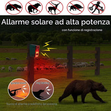 Carica l'immagine nel visualizzatore di Gallery, ROYELLE Allarme sensore di movimento solare da esterno