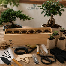 Carica l'immagine nel visualizzatore di Gallery, CULTIVEA® Kit Bonsai Box Experience – Bonsai Kit Completo per Principianti con Semi di Bonsai, Vasi, Attrezzi e Guida – 