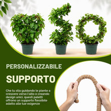 Carica l'immagine nel visualizzatore di Gallery, Tutore per Piante Rampicanti 2x 160 cm - Palo di Muschio Pieghevole in Cocco con Anima in Alluminio, Supporto Modellabil