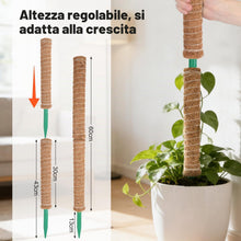 Carica l'immagine nel visualizzatore di Gallery, HOVIN Monstera - Traliccio di cocco – Confezione da 4 bastoncini di muschio estensibili 40 cm – per piante rampicanti da