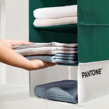 Carica l'immagine nel visualizzatore di Gallery, PANTONE - Organizer Armadio Salvaspazio da Appendere 5 Scomparti Abiti e Accessori, Organizzatore Armadio Verticale Pieghevole, Divisori per Armadio Interno Portaoggetti e Vestiti 84x30x30 cm