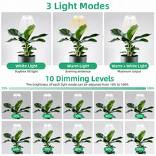 Carica l'immagine nel visualizzatore di Gallery, Mcbazel Lampada per Piante da Interno, Grow Light Piante, Luce Piante, Lampade da Coltivazione Indoor Spettro Completo R