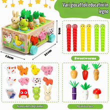 Carica l'immagine nel visualizzatore di Gallery, Giochi Montessori 1 Anno, 6-in-1 Giochi Montessori 2 Anni, Magnetici Di Pesca in Legno, Abilità Motorie Giocattoli Educa