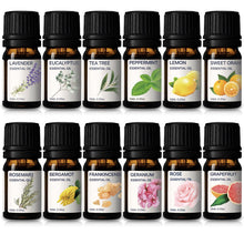Carica l'immagine nel visualizzatore di Gallery, Oli Essenziali - Kit di Oli 100% Puri - Top 12 Set Regalo di Oli Aromaterapici - Confezione da 12, 10 ml (Eucalipto, Lavanda, Erba Limone, Arancio, Menta Piperita, Albero del Tè)