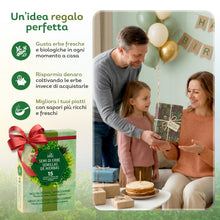 Carica l'immagine nel visualizzatore di Gallery, Nojus - 15 Confezioni di Semi di Erbe Varie - Massima Qualità -Pedaggio per Bevande - Kit di Semi di Piante Varie - Semi