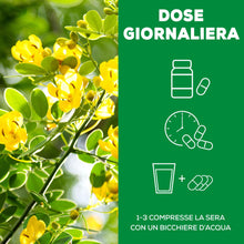 Carica l'immagine nel visualizzatore di Gallery, Matt, Le 12 Erbe del Buon Transito, Integratore Alimentare, 100 Compresse