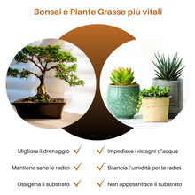 Carica l'immagine nel visualizzatore di Gallery, GebEarth® | Pomice per piante fine da 3/6 mm【1 L 】| Migliora la salute radicale di Bonsai e Piante Grasse | Leggera e ad