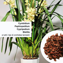 Carica l'immagine nel visualizzatore di Gallery, Kalapanta Terriccio per Orchidee Cymbidium 2L Pronto all'Uso - Mix Corteccia Bark naturale e Torba neutra Professionale 