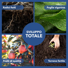 Carica l'immagine nel visualizzatore di Gallery, Solfato di Rame | Concime Inorganico Puro 98/99% | Rame Solubile 25% | Uso Agricolo e Biologico | Residuo Zero | Rame Pe