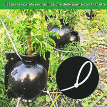 Carica l'immagine nel visualizzatore di Gallery, 30 Pezzi Dispositivo di Radicamento delle Piante Scatola Radicamento Piante